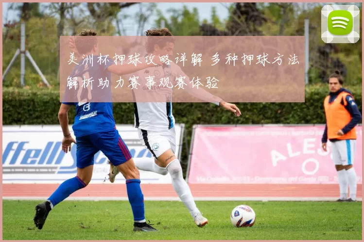美洲杯押球攻略详解 多种押球方法解析助力赛事观赛体验