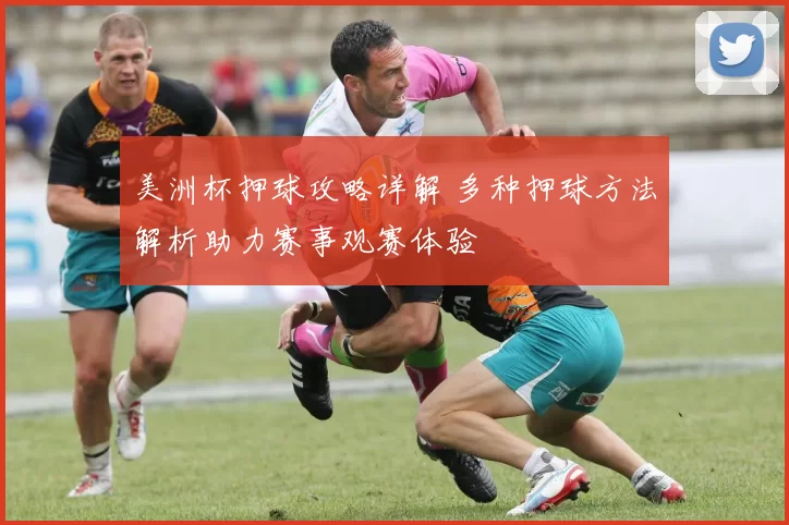 美洲杯押球攻略详解 多种押球方法解析助力赛事观赛体验