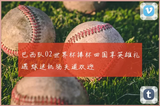 巴西队02世界杯捧杯回国享英雄礼遇 球迷机场夹道欢迎